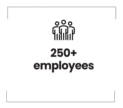 250+ employees